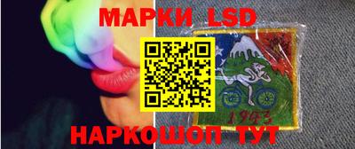 мет Кингисепп