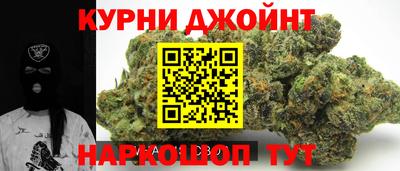 мет Кингисепп