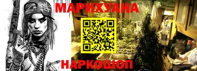 мет Кингисепп
