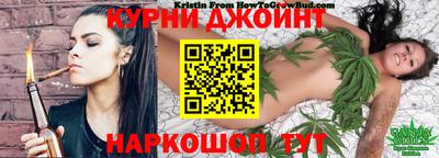 мет Кингисепп