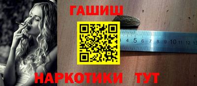 мет Кингисепп
